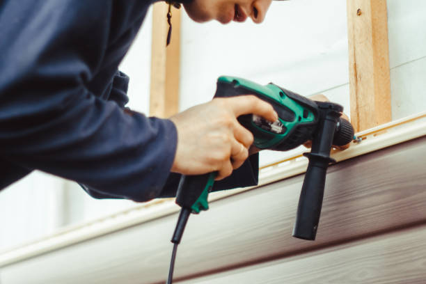 Best Custom Trim and Detailing for Siding  in Trenton, FL